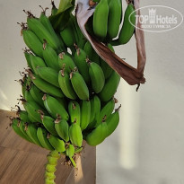 фото из отзыва ID 2652722