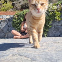 фото из отзыва ID 2652722