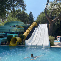 фото из отзыва ID 2652939