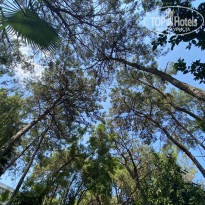 фото из отзыва ID 2652939