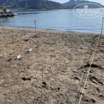 фото из отзыва ID 2652951