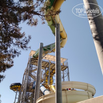 фото из отзыва ID 2653016