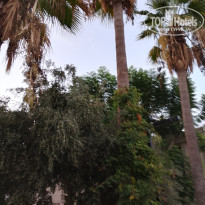 фото из отзыва ID 2653016