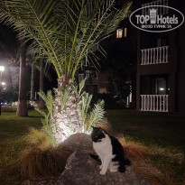 фото из отзыва ID 2653011