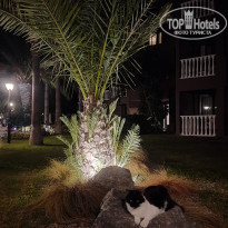 фото из отзыва ID 2653011