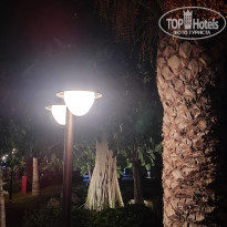 фото из отзыва ID 2653011