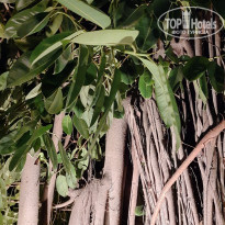 фото из отзыва ID 2653011