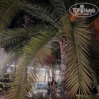 фото из отзыва ID 2653011