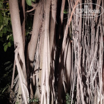 фото из отзыва ID 2653011