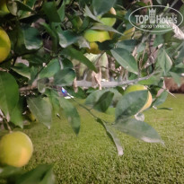 фото из отзыва ID 2653011