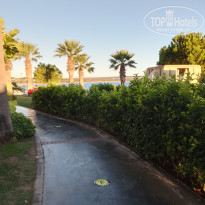 фото из отзыва ID 2653016