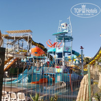 фото из отзыва ID 2653016