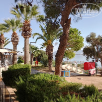 фото из отзыва ID 2653016