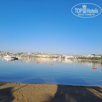 фото из отзыва ID 2653007