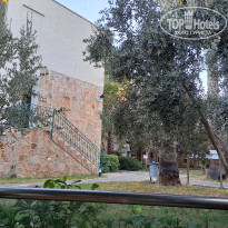 фото из отзыва ID 2653007