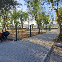 фото из отзыва ID 2653007