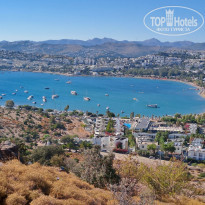 фото из отзыва ID 2653007