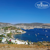 фото из отзыва ID 2653007