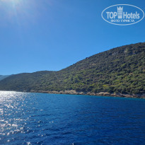 фото из отзыва ID 2653007