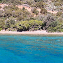 фото из отзыва ID 2653007