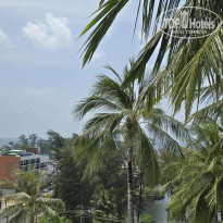 фото из отзыва ID 2653072