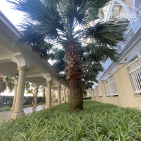 фото из отзыва ID 2653100