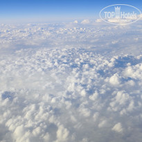 фото из отзыва ID 2653101