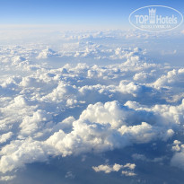 фото из отзыва ID 2653101