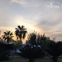 фото из отзыва ID 2653101