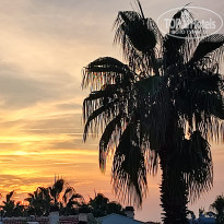 фото из отзыва ID 2653101