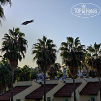 фото из отзыва ID 2653101