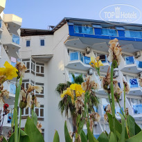 фото из отзыва ID 2653101