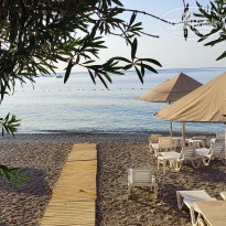 фото из отзыва ID 2653101