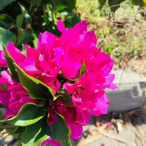 фото из отзыва ID 2653101