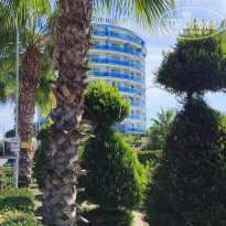 фото из отзыва ID 2653101