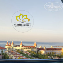 фото из отзыва ID 2653101