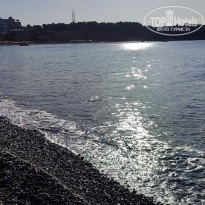 фото из отзыва ID 2653101