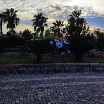 фото из отзыва ID 2653101