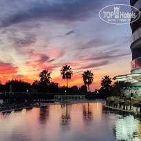 фото из отзыва ID 2653101