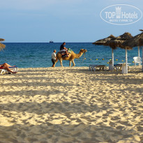 фото из отзыва ID 2653107