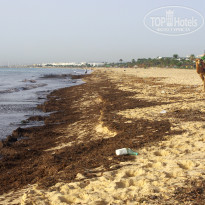 фото из отзыва ID 2653107