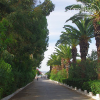 фото из отзыва ID 2653107