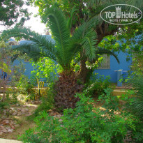 фото из отзыва ID 2653107