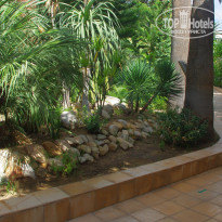 фото из отзыва ID 2653107