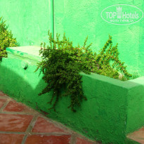 фото из отзыва ID 2653107