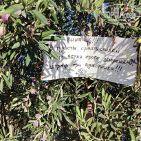 фото из отзыва ID 2653101