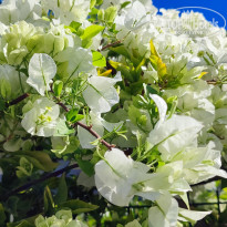 фото из отзыва ID 2653101