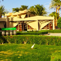 фото из отзыва ID 2653121