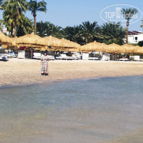 фото из отзыва ID 2653121