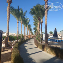 фото из отзыва ID 2653116